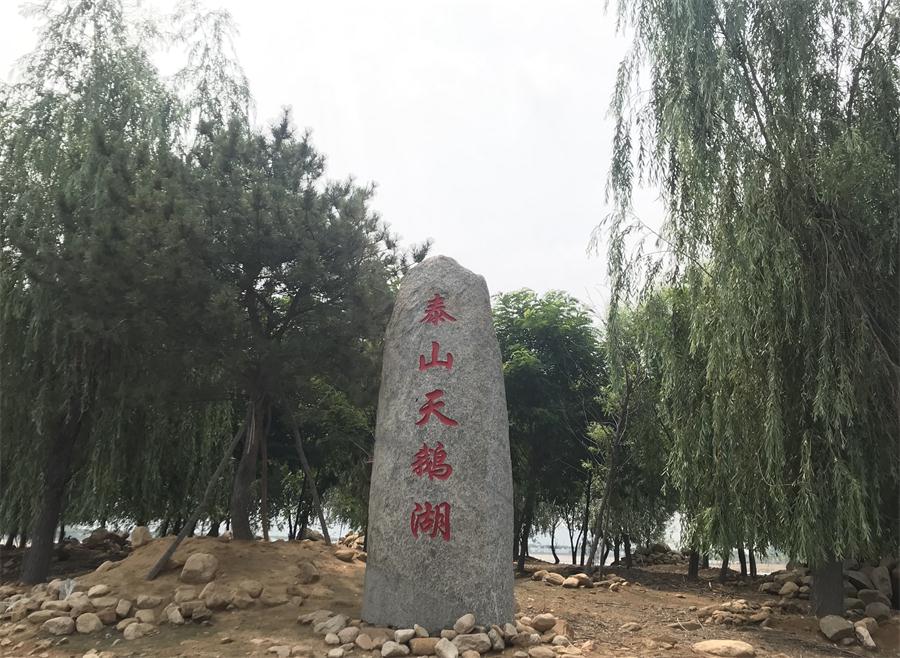 天鵝湖風(fēng)景區(qū)（泰山）速覽！(圖12)
