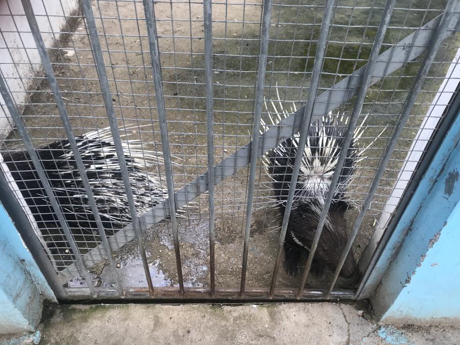 天鵝湖風(fēng)景區(qū)（泰山）速覽！(圖10)