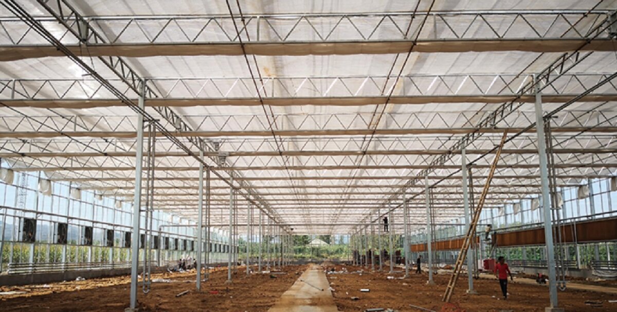 信橋鋼構：打卡蒙陰農(nóng)業(yè)溫室大棚、青州黑牛養(yǎng)殖基地！(圖3)