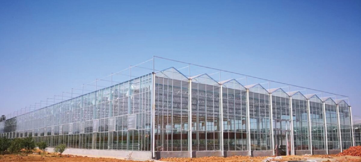 信橋鋼構：打卡蒙陰農(nóng)業(yè)溫室大棚、青州黑牛養(yǎng)殖基地！(圖2)