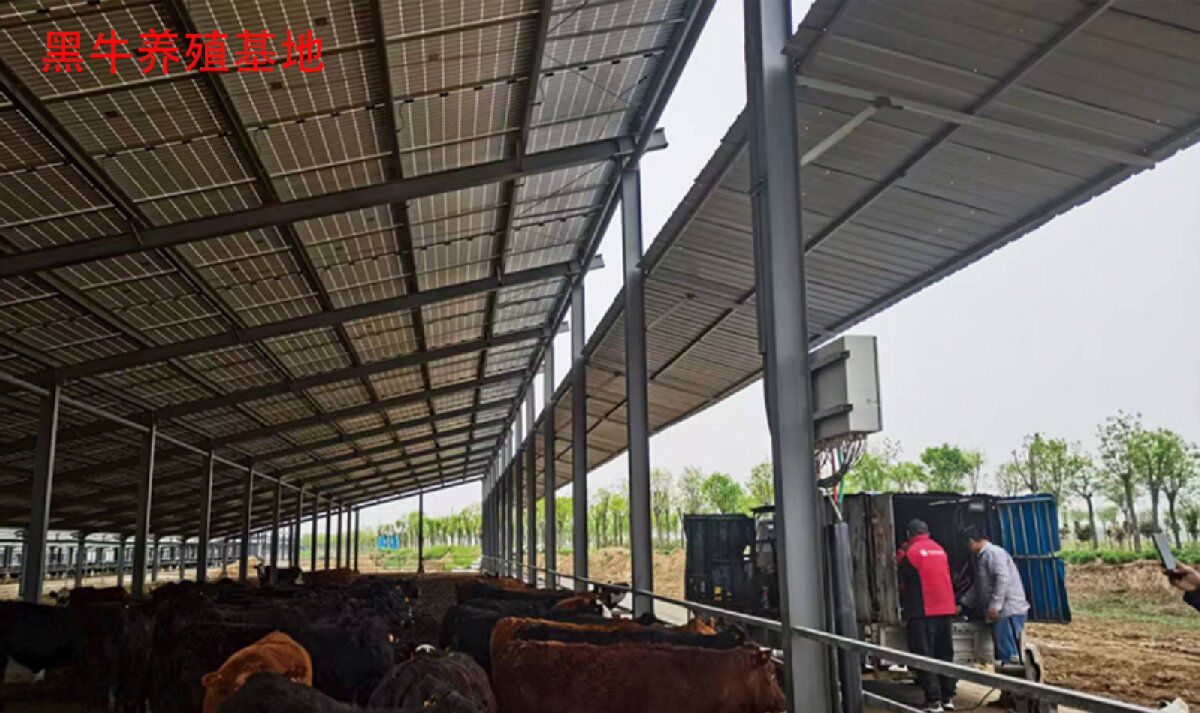 鋼結構工程全流程服務:山東信橋鋼結構有限公司(圖13)